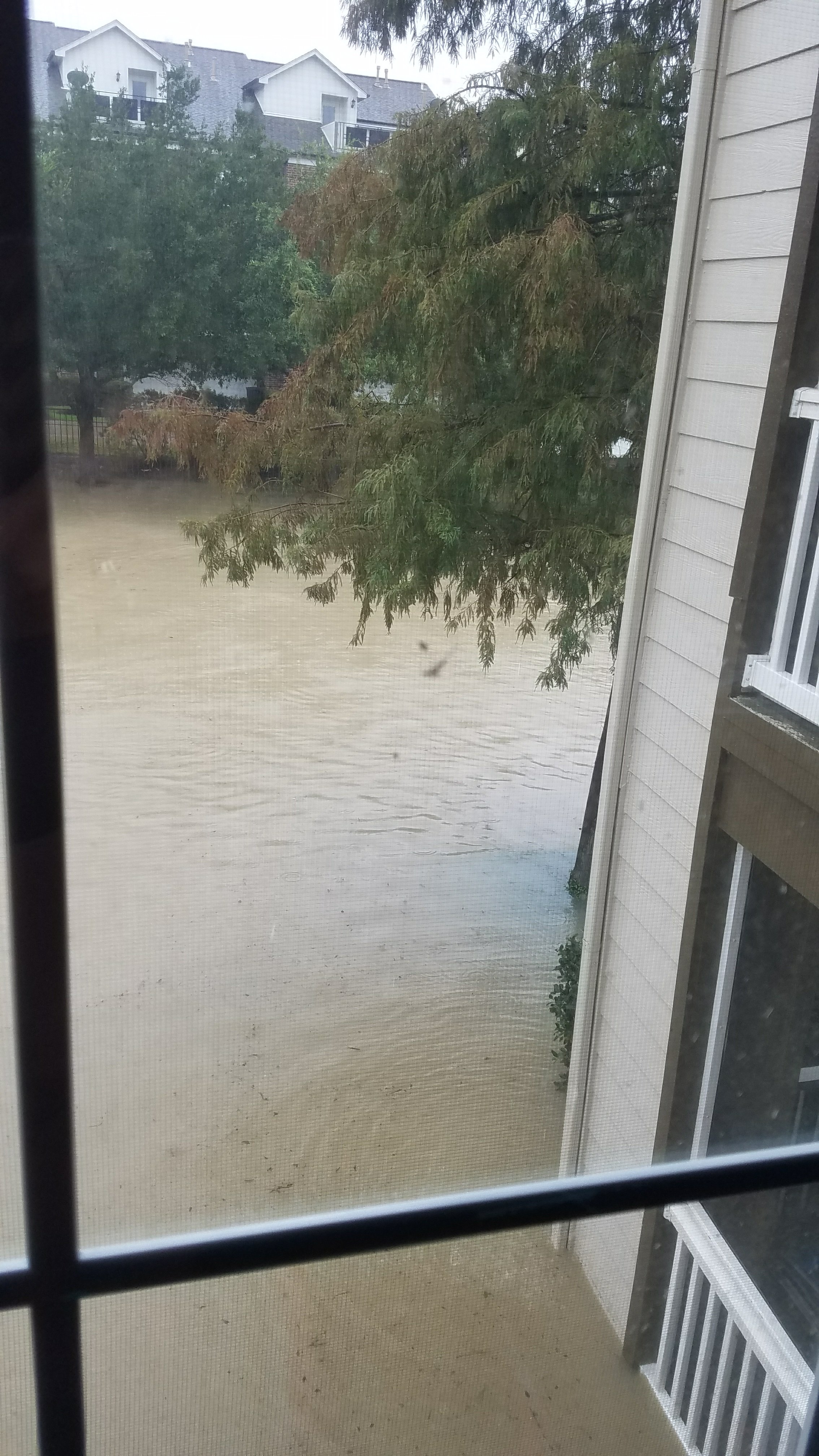 Hurricane Harvey flooding outside the window in Kingwood