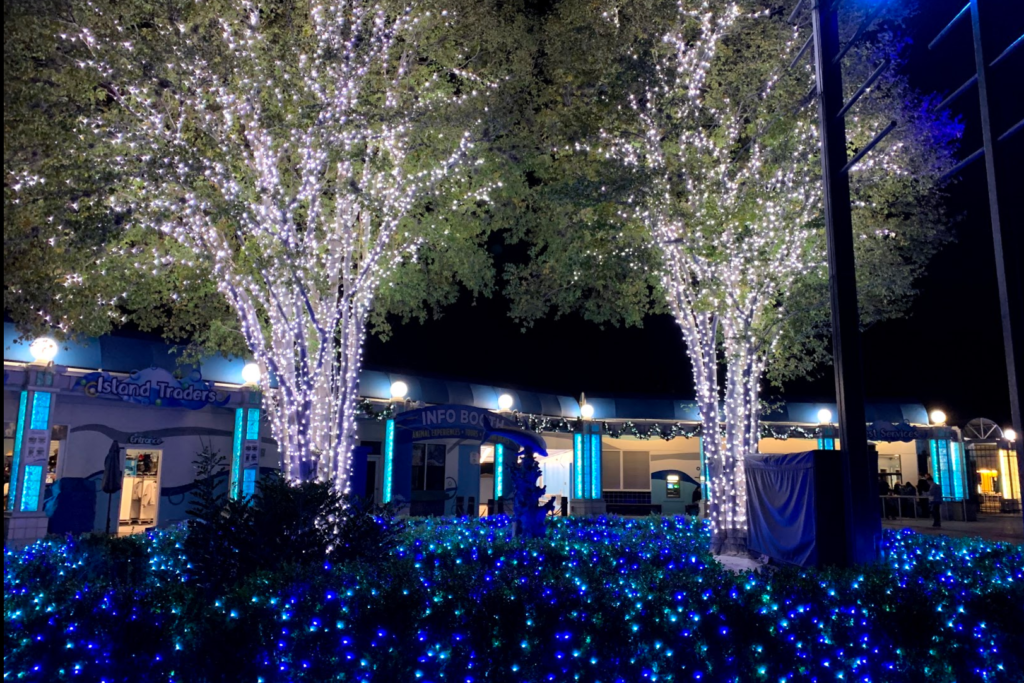 Sea World white and blue Christmas lights