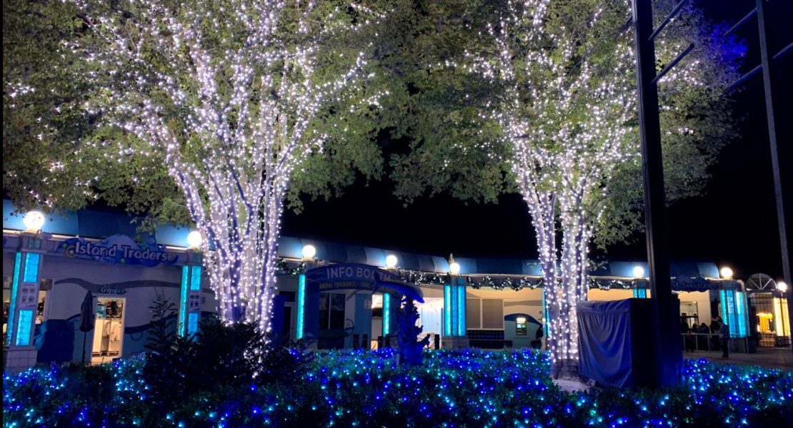 Sea World white and blue Christmas lights