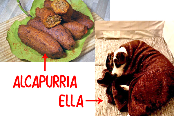 Ella vs the Alcapurria funny pic!