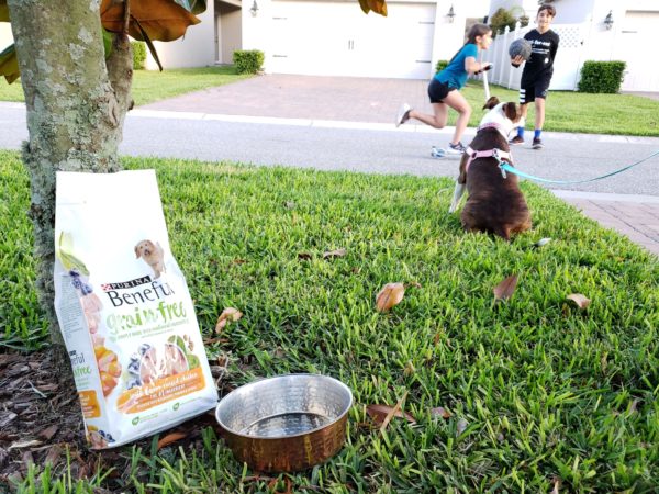 Purina Beneful Grain Free with our puppy Ella and the kids playing