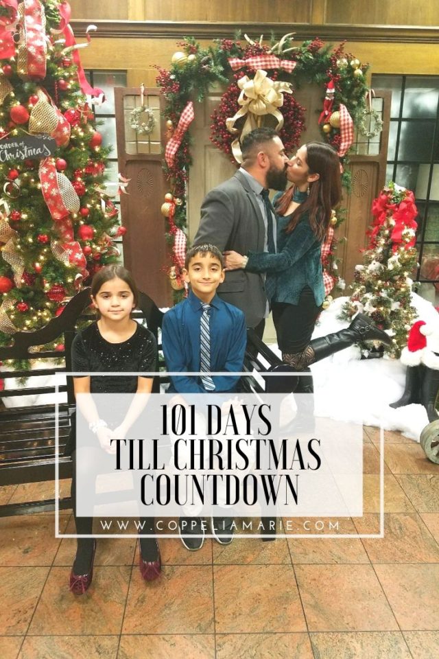 101 Days till Christmas Countdown pin