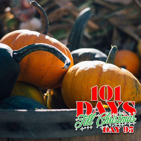 101 Days till Christmas Day 93 Self Care ideas for fall