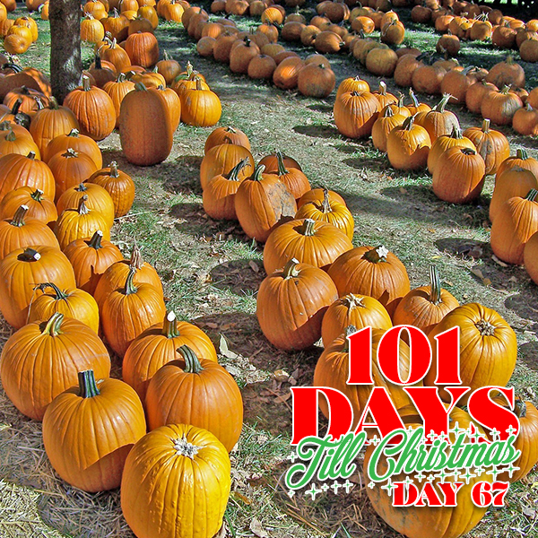 101 Days till Christmas Day 67 Fall Festivals in Orlando