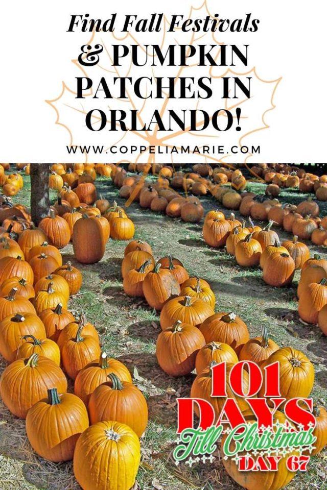 101 Days till Christmas Day 67 Find Fall Festivals in Orlando pin