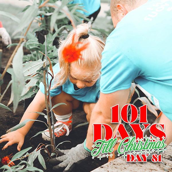 101 Days till Christmas Day 81 Fall Service and Volunteer Projects