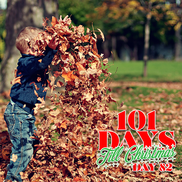 101 Days till Christmas Day 82 Fall Family Fun