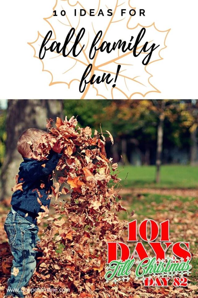 101 Days till Christmas Day 82 Fall Family Fun