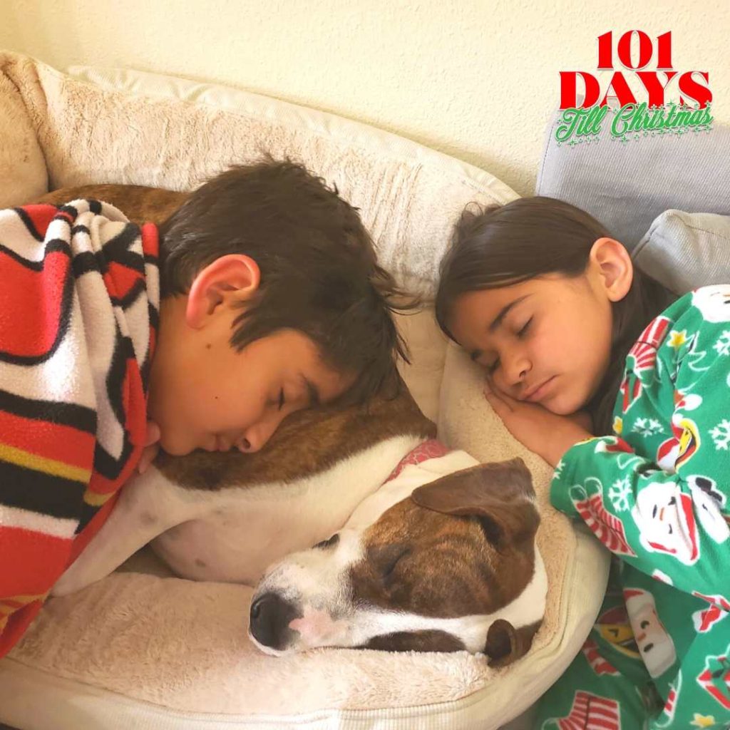 101 Days till Christmas Day 53 Daylight Saving TIme Better Sleep Tips