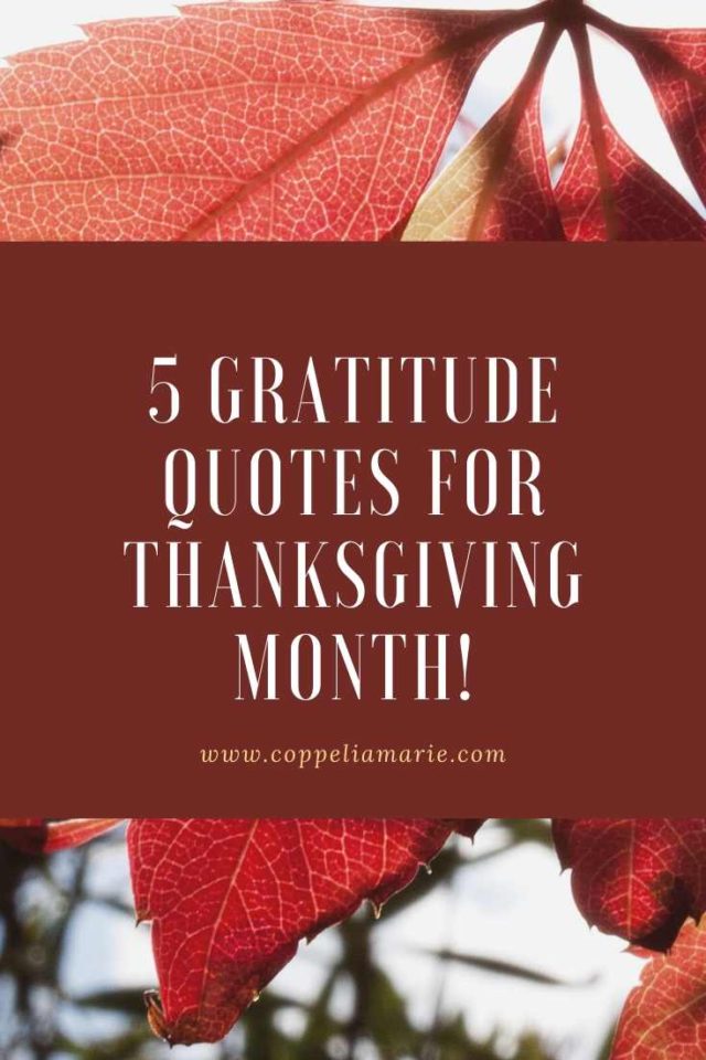 5 Gratitude Quotes for Thanksgiving Month!