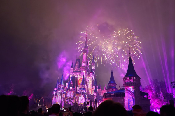 Magic Kingdom fireworks light up a purple sky as if to say it's safe to start 2020 now!